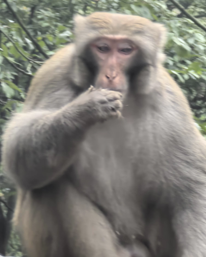 image-20250105021230076
